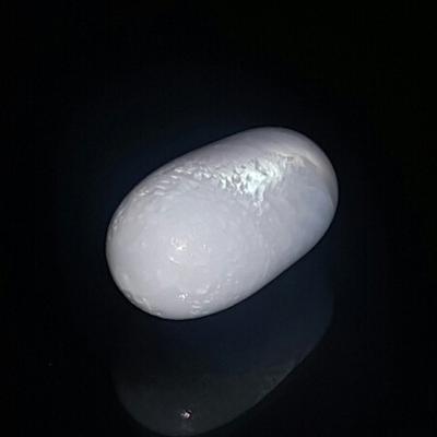 Magnificent Clam Pearl 15+ ct