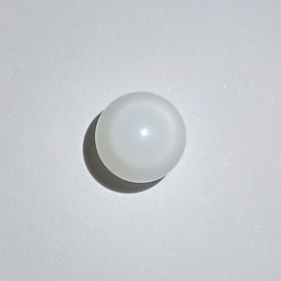 Magnificent Clam Pearl 6+ ct