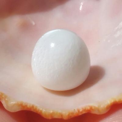 Magnificent Clam Pearl of 22.25 ct