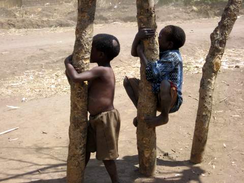 Malawi Boys Malawi Boys