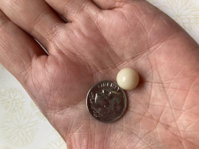 Marlene Found a Quahog Pearl