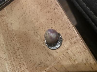 Millennium quahog pearl