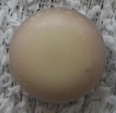 Bottom - Miss Porters Purple Quahog Pearl