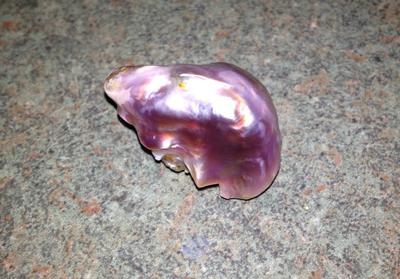 Natural USA Freshwater Pearl