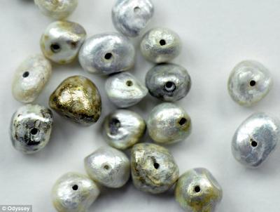 These pearls are from a rare species of oyster found in seabeds off the coast of Venezuela  
