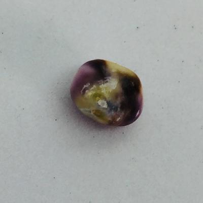 Mottled Purple Quahog Pearl for Sale