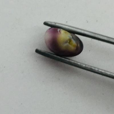 Mottled Purple Quahog Pearl for Sale