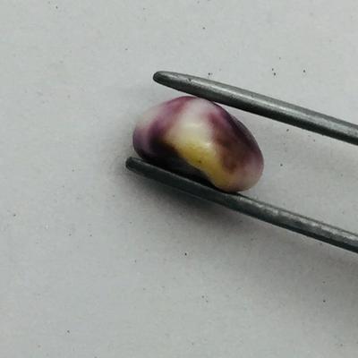Mottled Purple Quahog Pearl for Sale