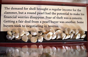 Mississippi River Pearl Slugs in Muscatine