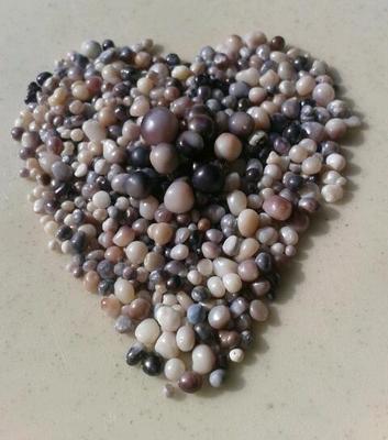 My Beautiful Canadian Pearls from Nova Scotia