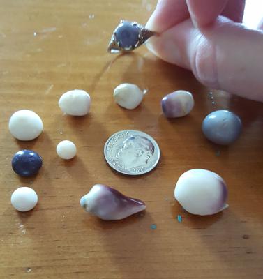 Group Quahog Pearls