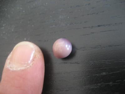 Quahog Pearl