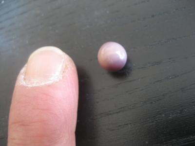 Quahog Pearl