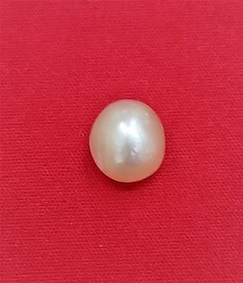 Natural 9mm Basra Pearl  Button Shape DANAT certificate