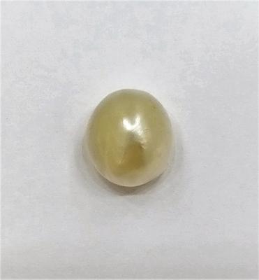 Natural 9mm Basra Pearl  Button Shape DANAT certificate