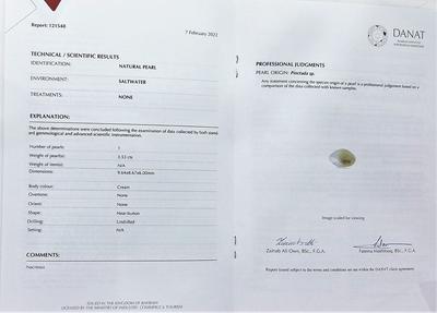 Natural 9mm Basra Pearl  Button Shape DANAT certificate