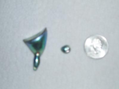 Natural Abalone Pearls