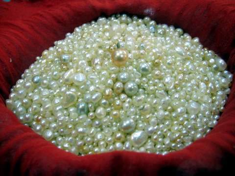 Natural Gulf Pearls