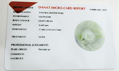 Certificate - Natural Basra Blister Pearl Attached to a Shell Pendant