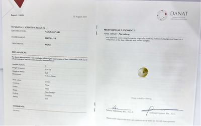 Cert - Natural Basra Pearl Cream Colored