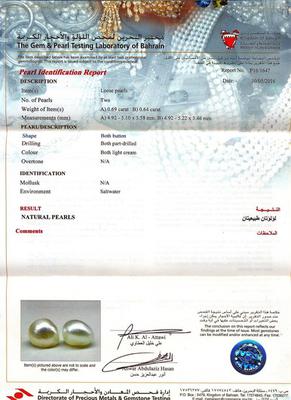 Certificate - Natural Basra Pearl Earring on 18k Gold