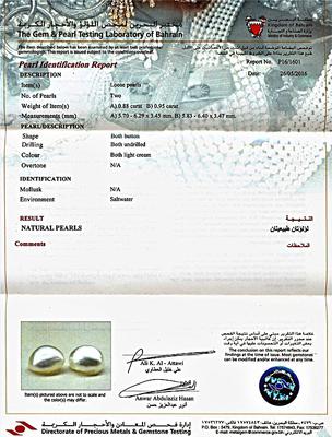 Certificate - Natural Basra Pearl Earrings Light Cream on 18k Gold 