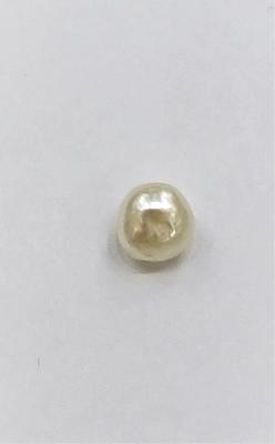 Natural Basra Pearl Light Cream Near Button