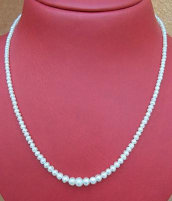 Natural Persian Gulf Pearl Natural Persian Gulf Pearl