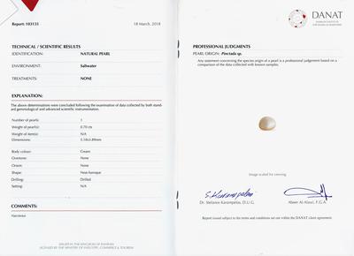 Natural Basra Pearl on 18k Gold Chain