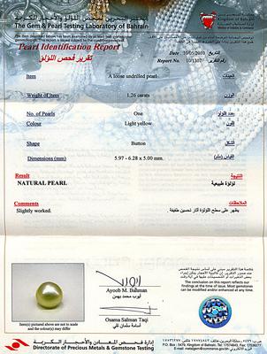 Natural Basra Pearl Pendant 18K Gold Button Shape - Certificate