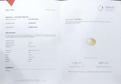 Natural Basra Pearl Stud 3+ Carat Earrings on 21K Gold