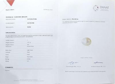 Natural Basra Pearl Stud 3+ Carat Earrings on 21K Gold