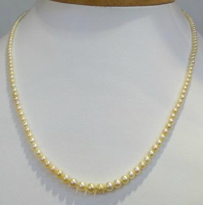 Natural Persian Gulf Pearl