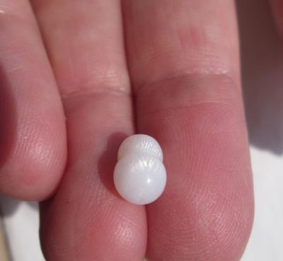 Natural Clam pearl 2+ carats with Flame for Sale