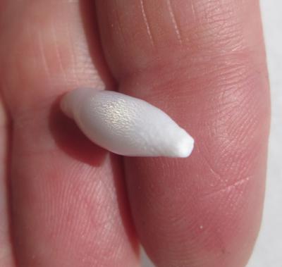 Natural Clam Pearl 4+ carats 19mm with Flame