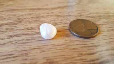 Natural freshwater pearl found in St. Croix River MN/WI