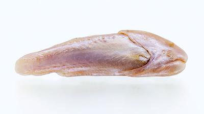 Fish Shaped Natural Pearl