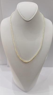 Natural Persian Gulf Pearl