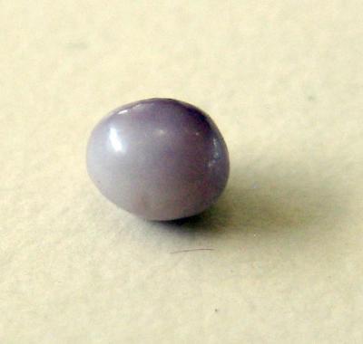 Lavender Natural Pearl
