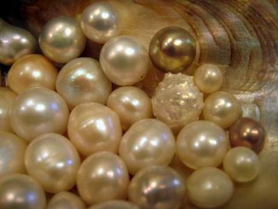 Natural Mississippi River Pearls