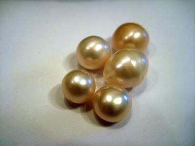 Natural Mississippi River Pearls