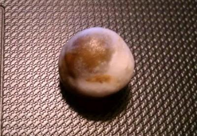 Brown & white natural oyster pearl