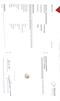 Natural Pearl 5mm Light Cream Color