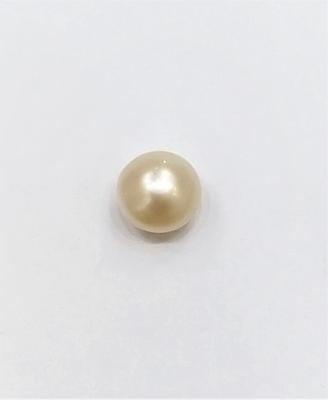 Natural Pearl Button Shape Persian Gulf Basra 