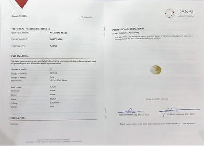 Cert - Natural Pearl Button Shape Persian Gulf Basra 