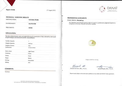 cert -- Natural Pearl Earring 21k Gold