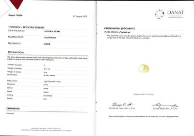 cert - Natural Pearl Earring 21k Gold