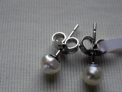 18K White Gold Stud Earrings