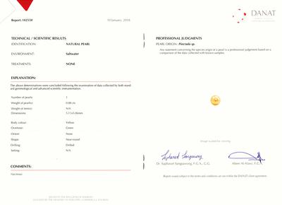 Certificate Natural Pearl from Arabian/Persian Gulf on 18k Gold Chain