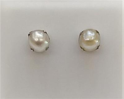 Natural Pearl Stud Earrings in White Gold